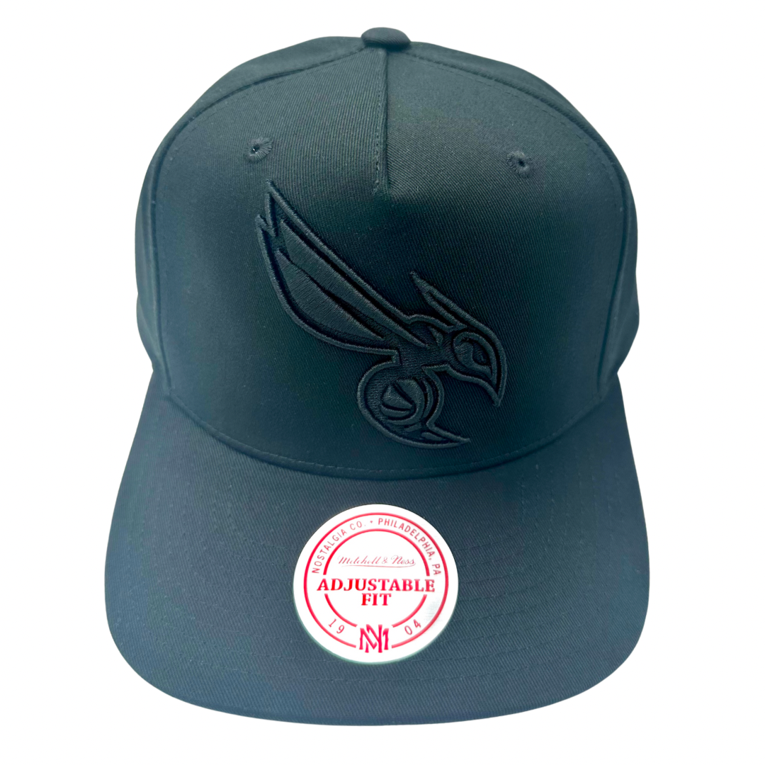 Charlotte Hornets Hat - Black With Black NBA Team Logo Snapback Cap - Mitchell & Ness