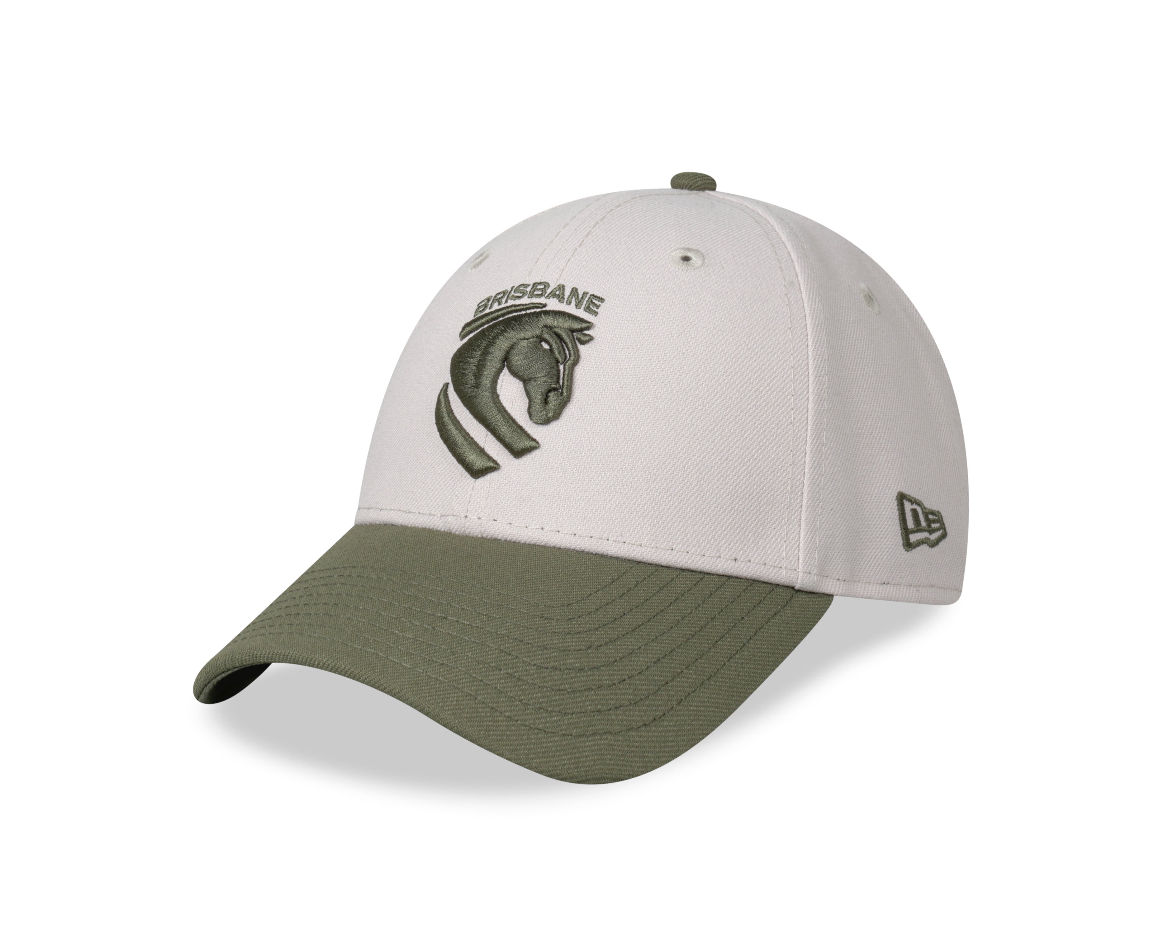 The Dolphins Hat - NRL Vintage Pebble 9forty Snapback Cap - New Era