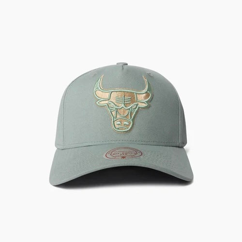 Chicago Bulls Hat - Light Green Seasonal Pro Crown NBA Snapback Cap - Mitchell & Ness
