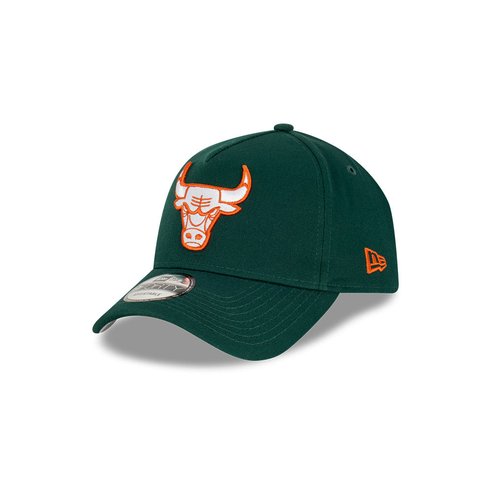 Chicago Bulls Hat - Copper Green A-Frame 9Forty NBA Champions Snapback Cap - New Era