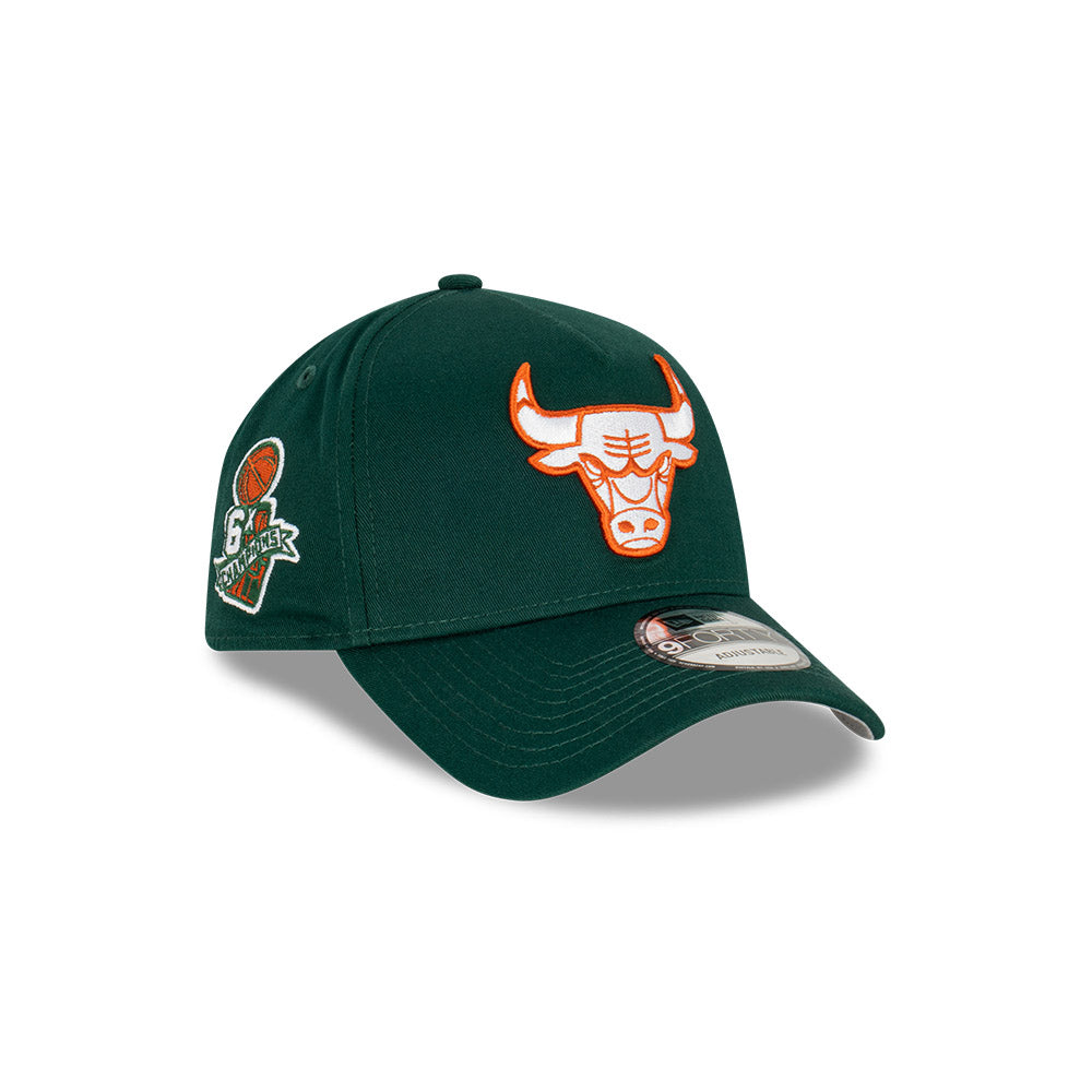 Chicago Bulls Hat - Copper Green A-Frame 9Forty NBA Champions Snapback Cap - New Era