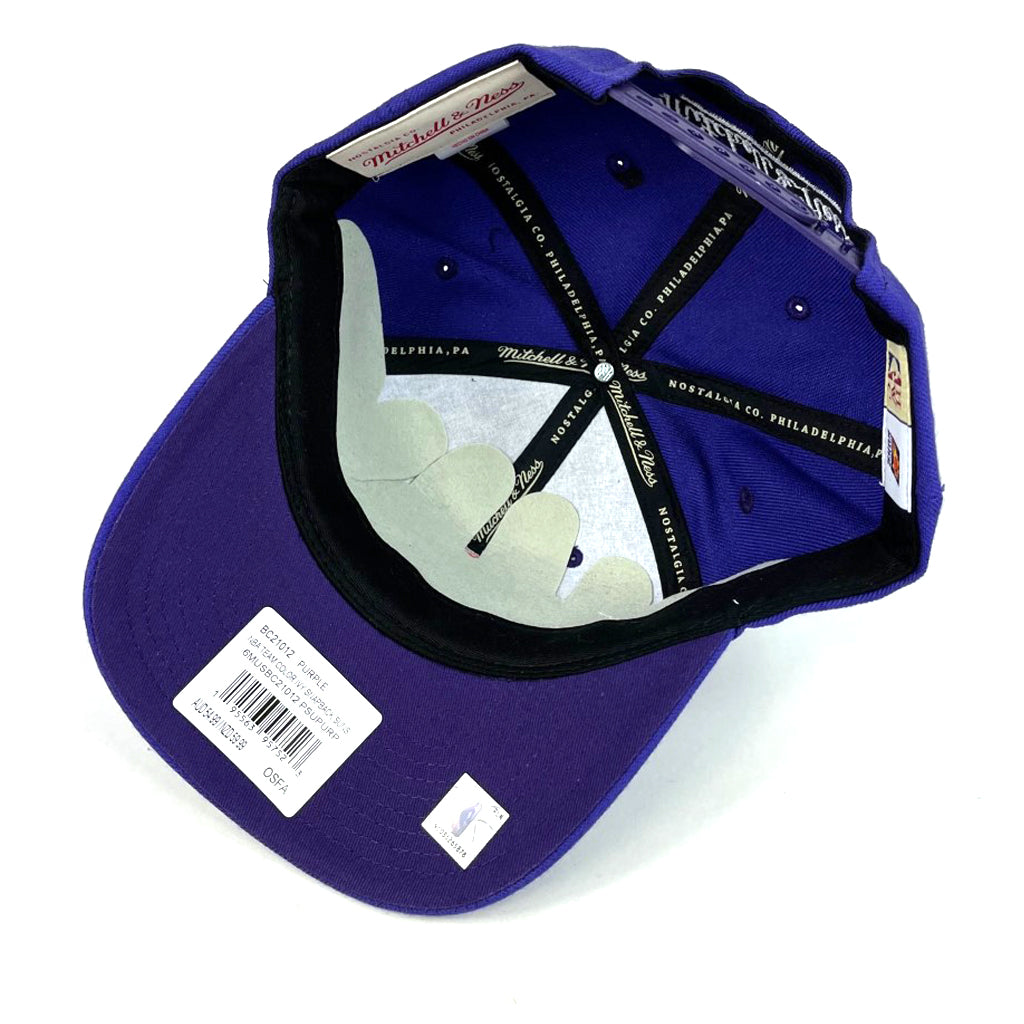 Phoenix Suns Hat Purple Vintage Ivy Arch Deadstock Snapback Mitchell & Ness